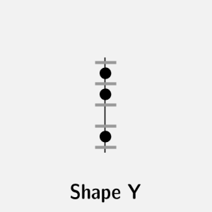 Shape Y: semi-whole or 12